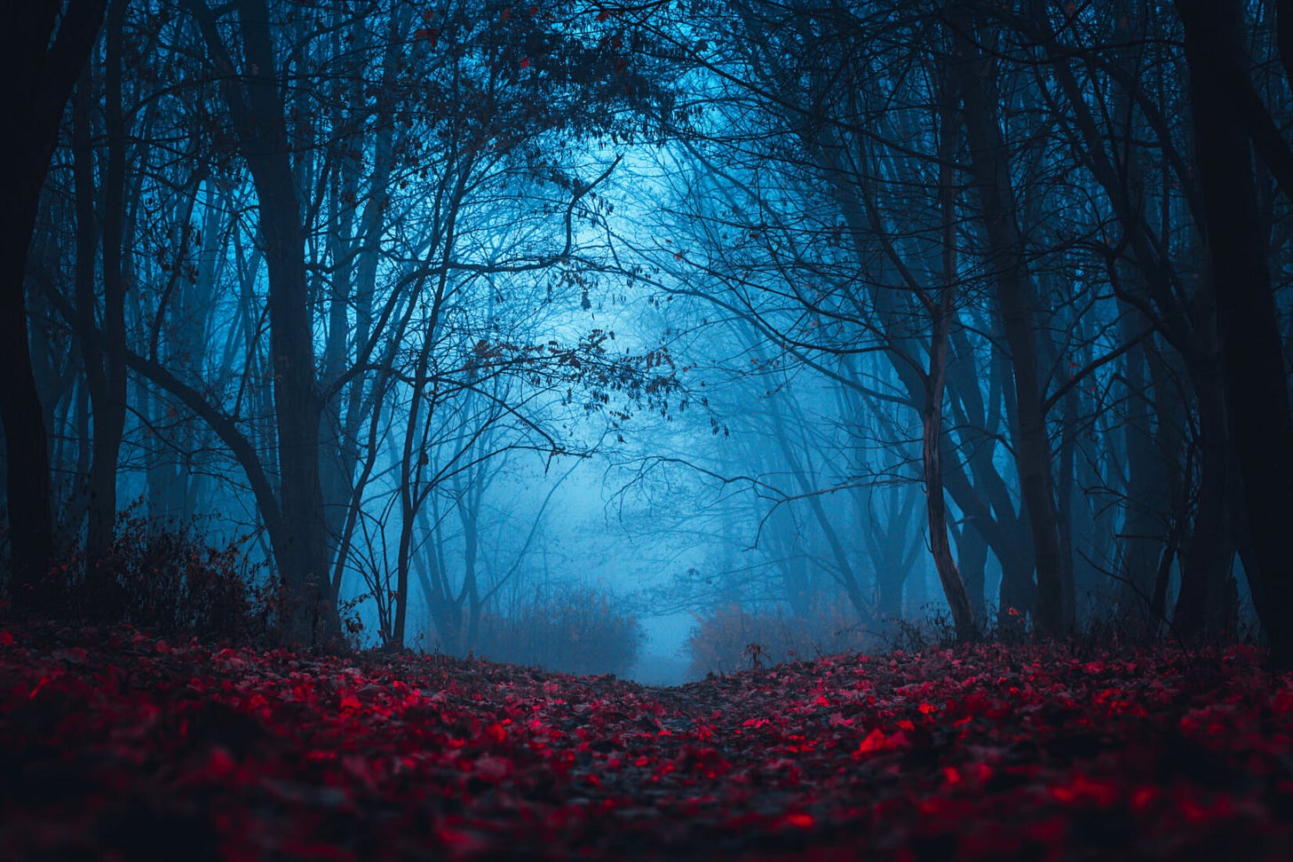 Stranger Things forest
