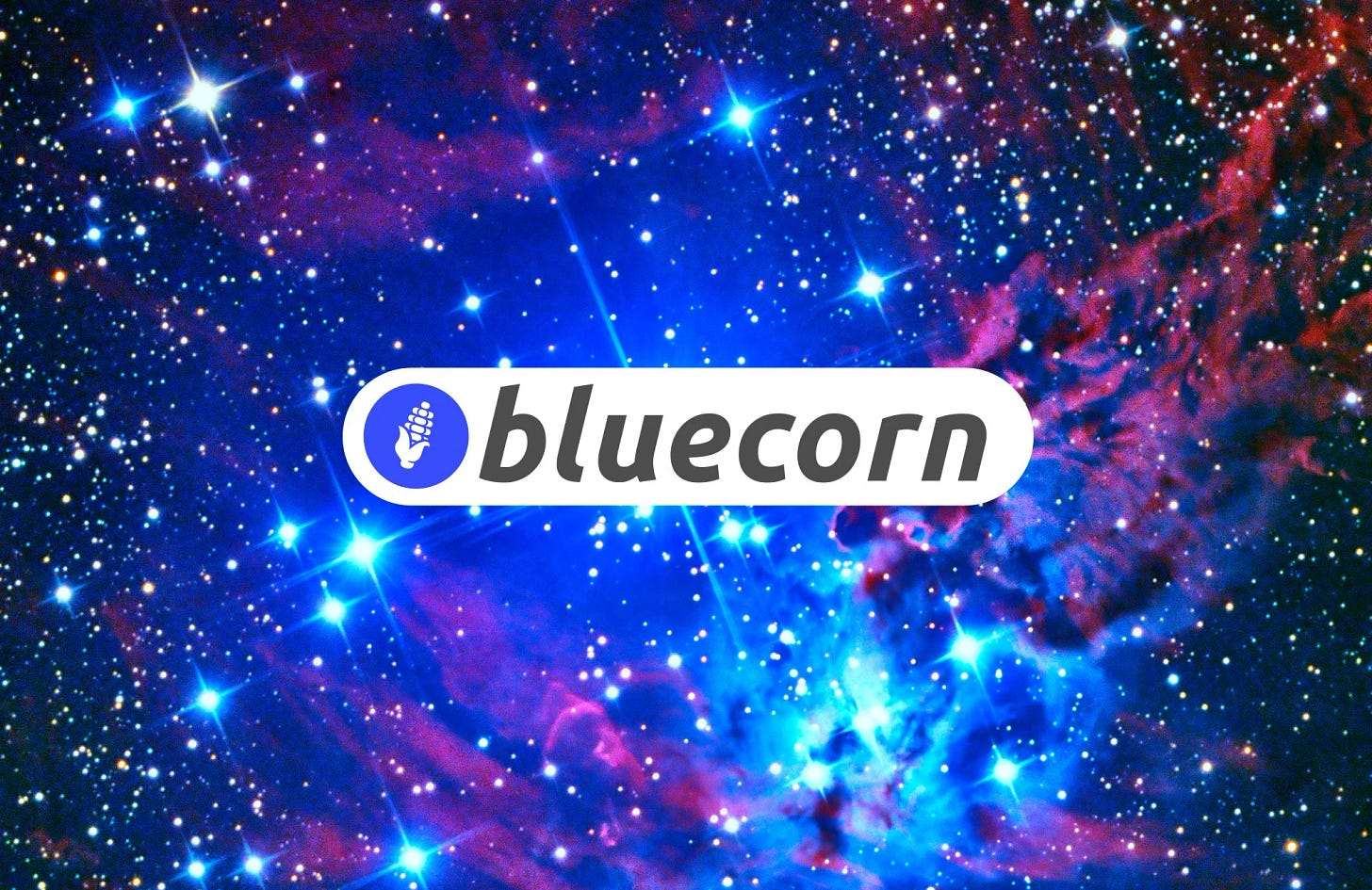 BlueCorn Banner
