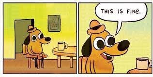 WholesomeMemes on Twitter: "When things are actually fine  https://t.co/iXUCsyDwpK" / Twitter
