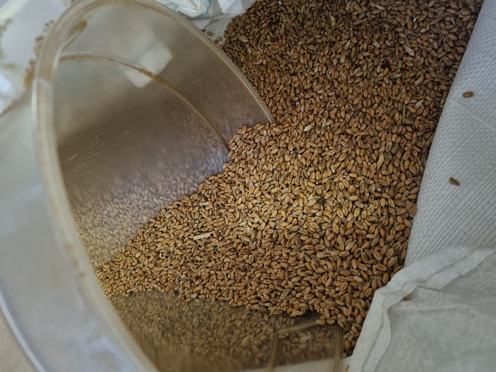 Milling flour from whole grains, Aston's Bakery