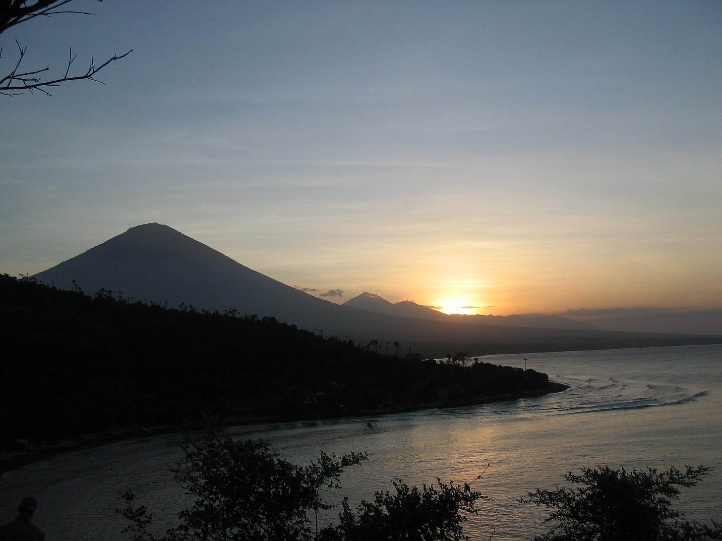IMG_3955 IMG_3955