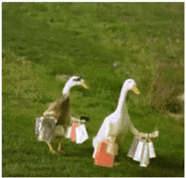 Shopping Family GIF - Shopping Family Ducks GIFs Shopping Family GIF - Shopping Family Ducks GIFs