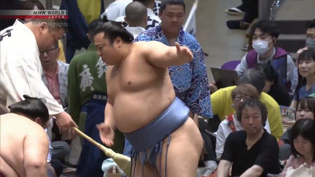 Sumo Stomp! | Tim Edwards | Substack
