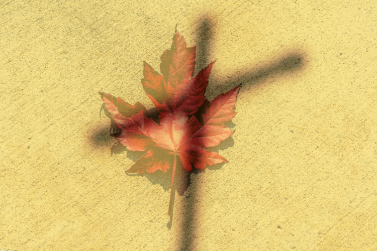 Deux catholiques, deux visions du Canada