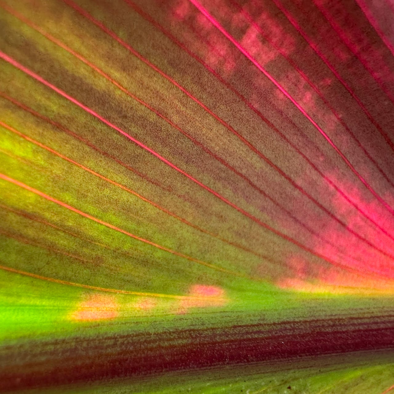 ExploreAi.Online News, Tools, Resources