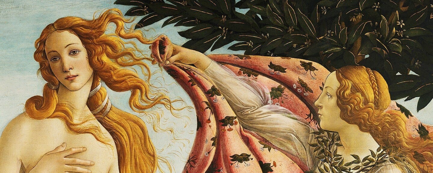 The faces of Venus and of the woman with the cloak, side by side
