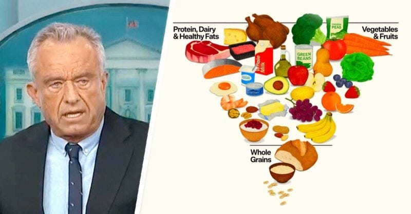 rfk jr. and new food pyramid rfk jr. and new food pyramid