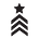 The Light Brigade's avatar