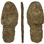 Anthropology.net