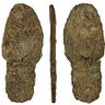 Anthropology.net