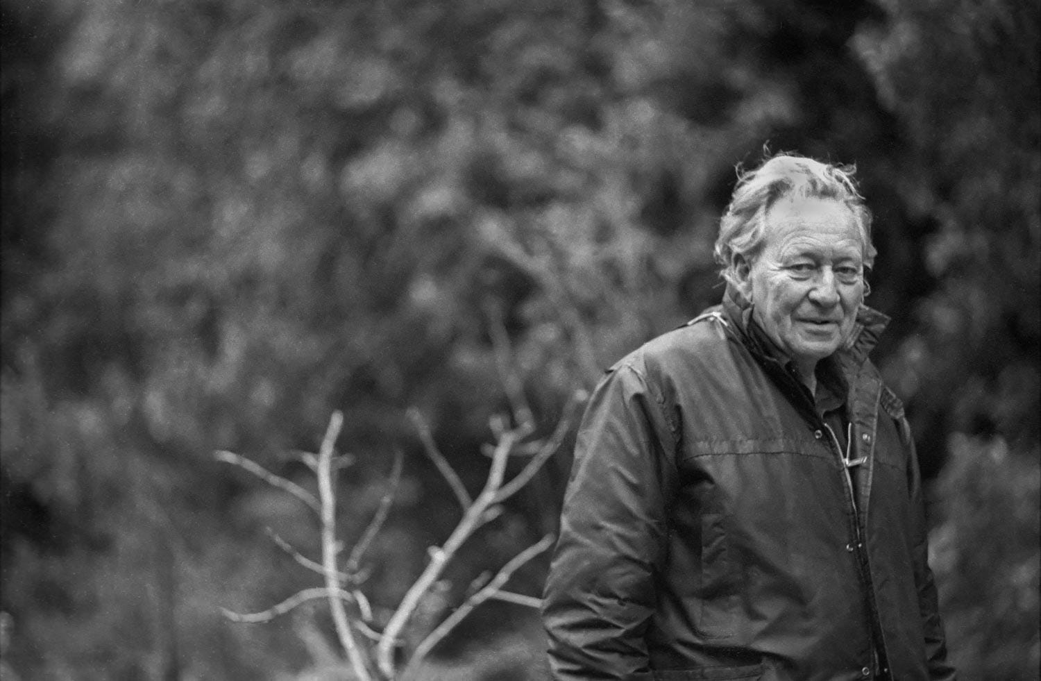 Why Gregory Bateson Matters - by Ted Gioia
