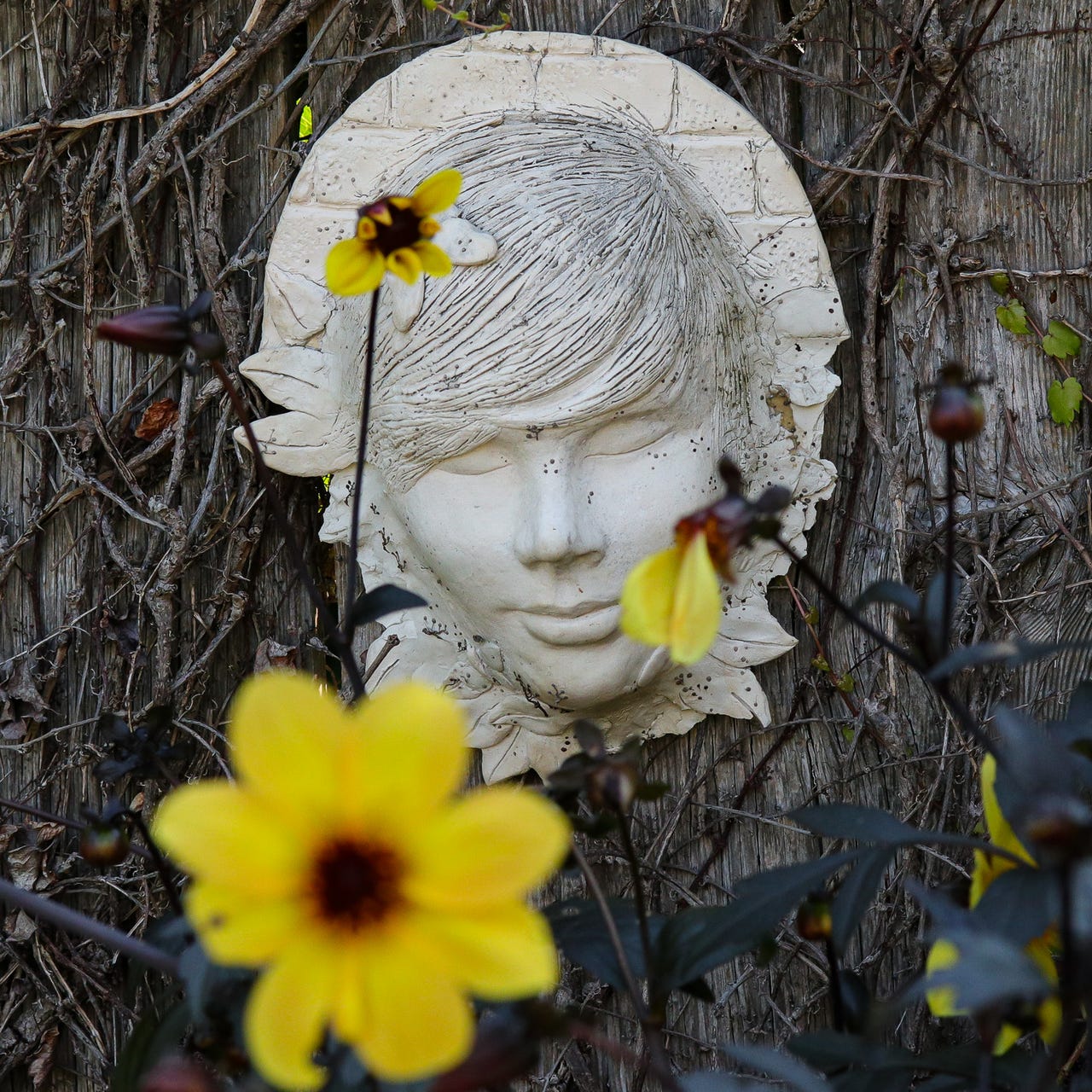 David’s Story time