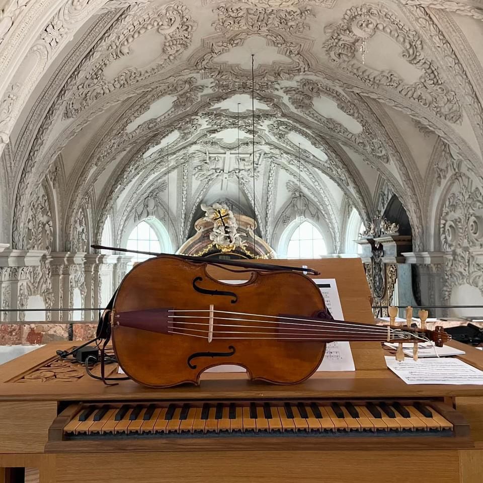 Playing continuo on the Violoncello da Spalla: the experience of