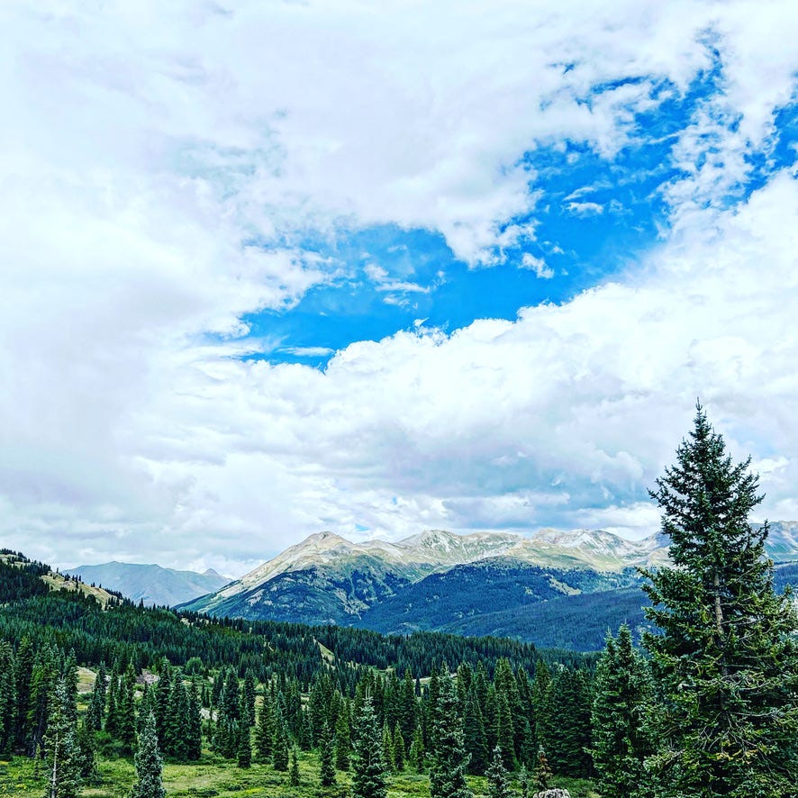 A landscape with trees and mountains

Description automatically generated