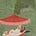 Litrahb Perfumery's avatar