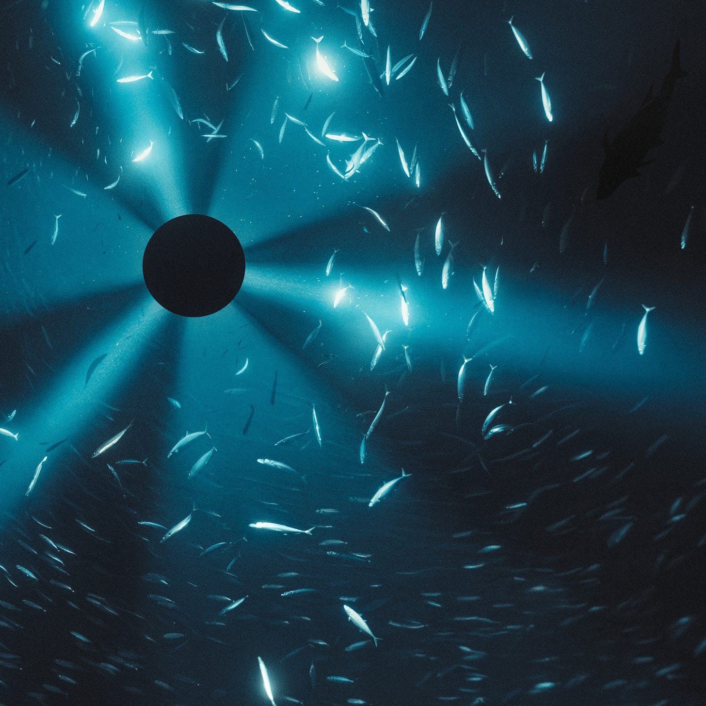 Laurel Halo | Substack