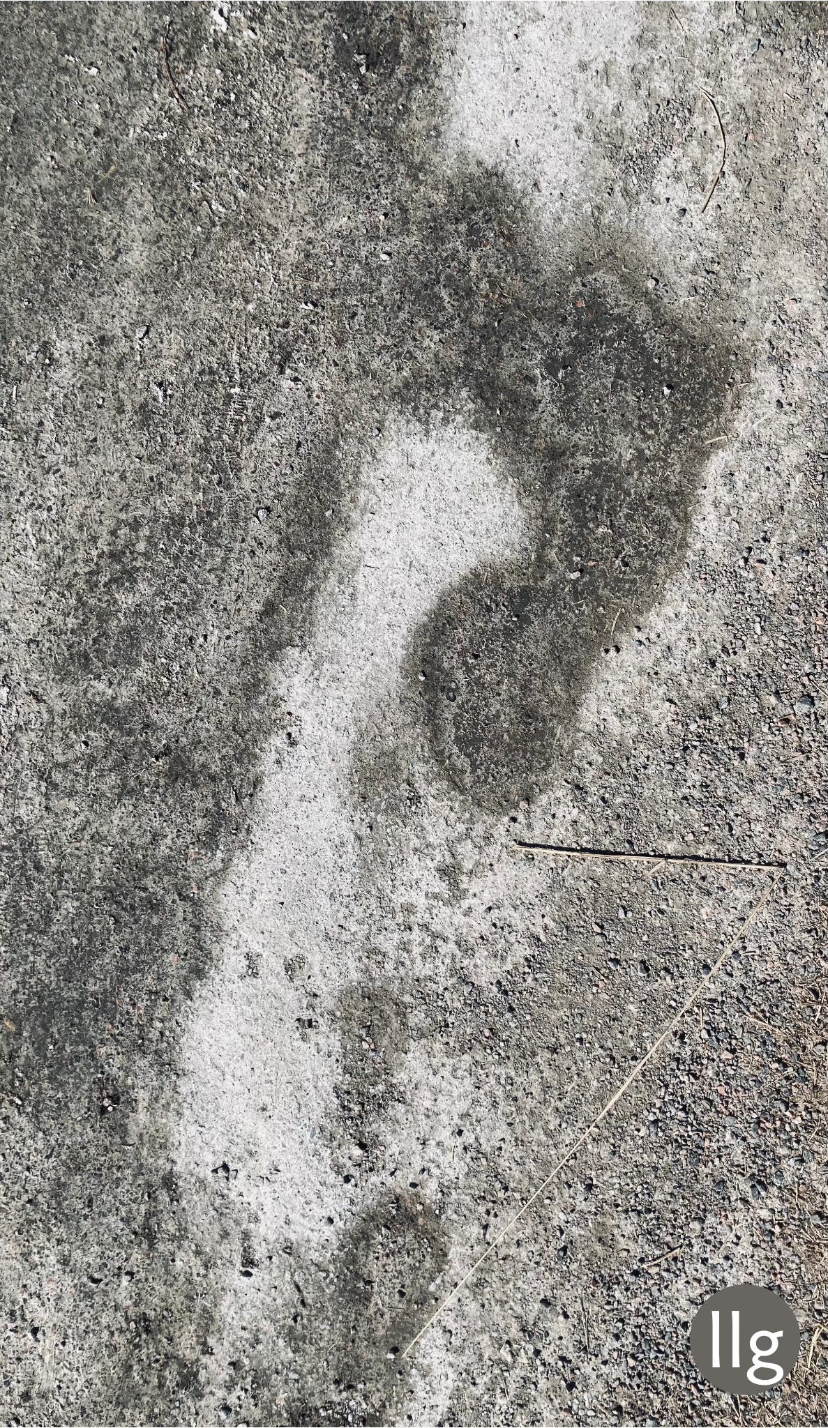 black and white abstract image