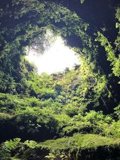 Photos of a sweeping view of an island with an emerald green lake, a plaza in Punta Delgada with a white chuch and white buildings trimmed in brown, a plant-filled tunnel going into a cave.