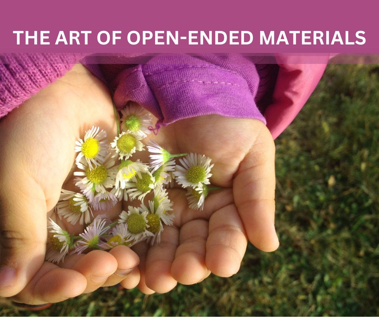 image of a child's hands holding Daisy flowers