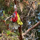 Q: How do you best prepare for your film's distribution? A: far, far, far in advance.