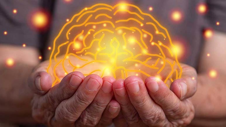 biological age brain protection biological age brain protection
