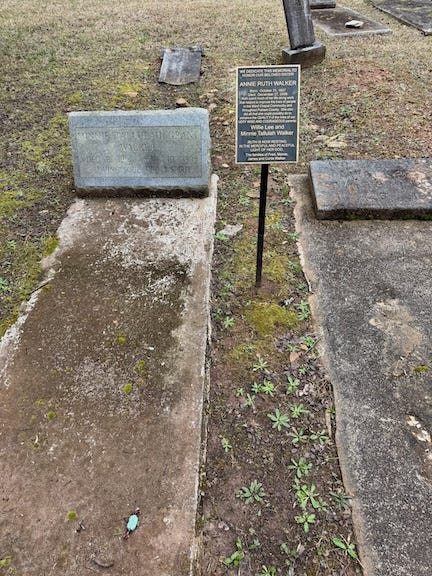 graves in Central Georgia