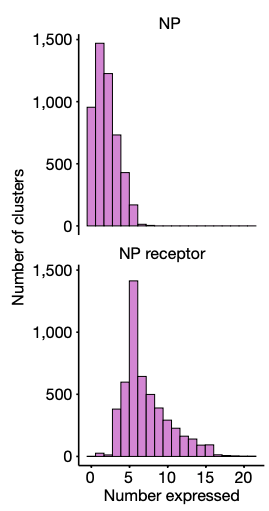 Neuropeptide chords: most neuron clusters express 1+ neuropeptide ligand genes; and 5 or more neuropeptide receptors. From Langlieb et al. (2023). Neuropeptide chords: most neuron clusters express 1+ neuropeptide ligand genes; and 5 or more neuropeptide receptors. From Langlieb et al. (2023).
