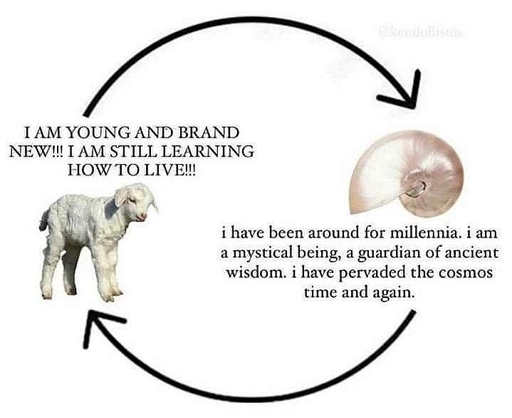 This may contain: a diagram showing the life cycle of a sheep and an animal that is being observed