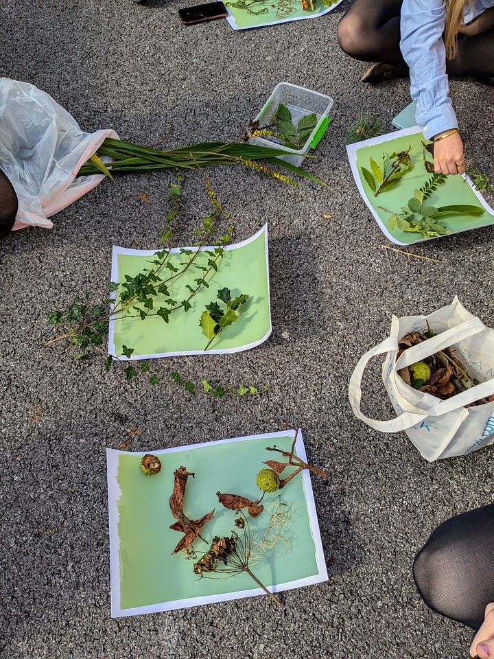 cyanotype workshop