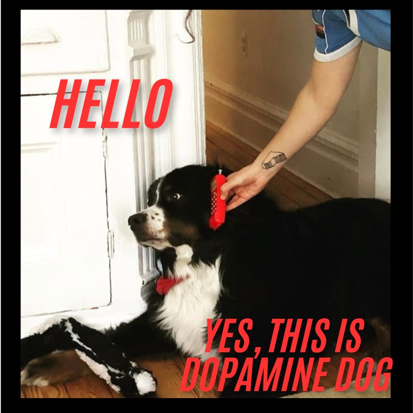 DOPAMINE DOG