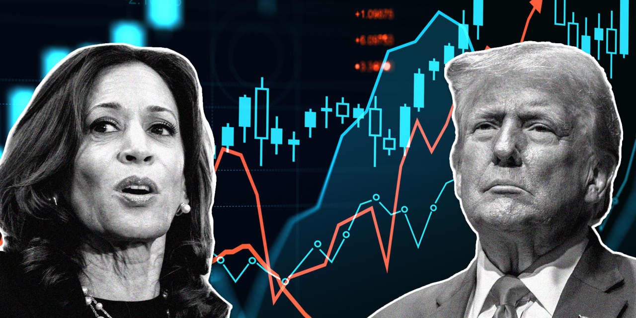 The stock market is entering the most volatile period of the 2024 presidential  election year - MarketWatch