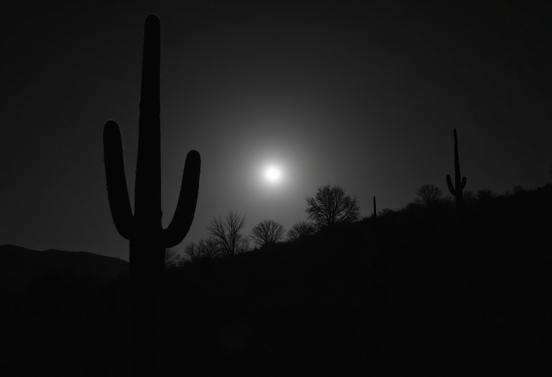 📨 Weekly digest: 32 2025 | The two GUI philosophies in the AI era