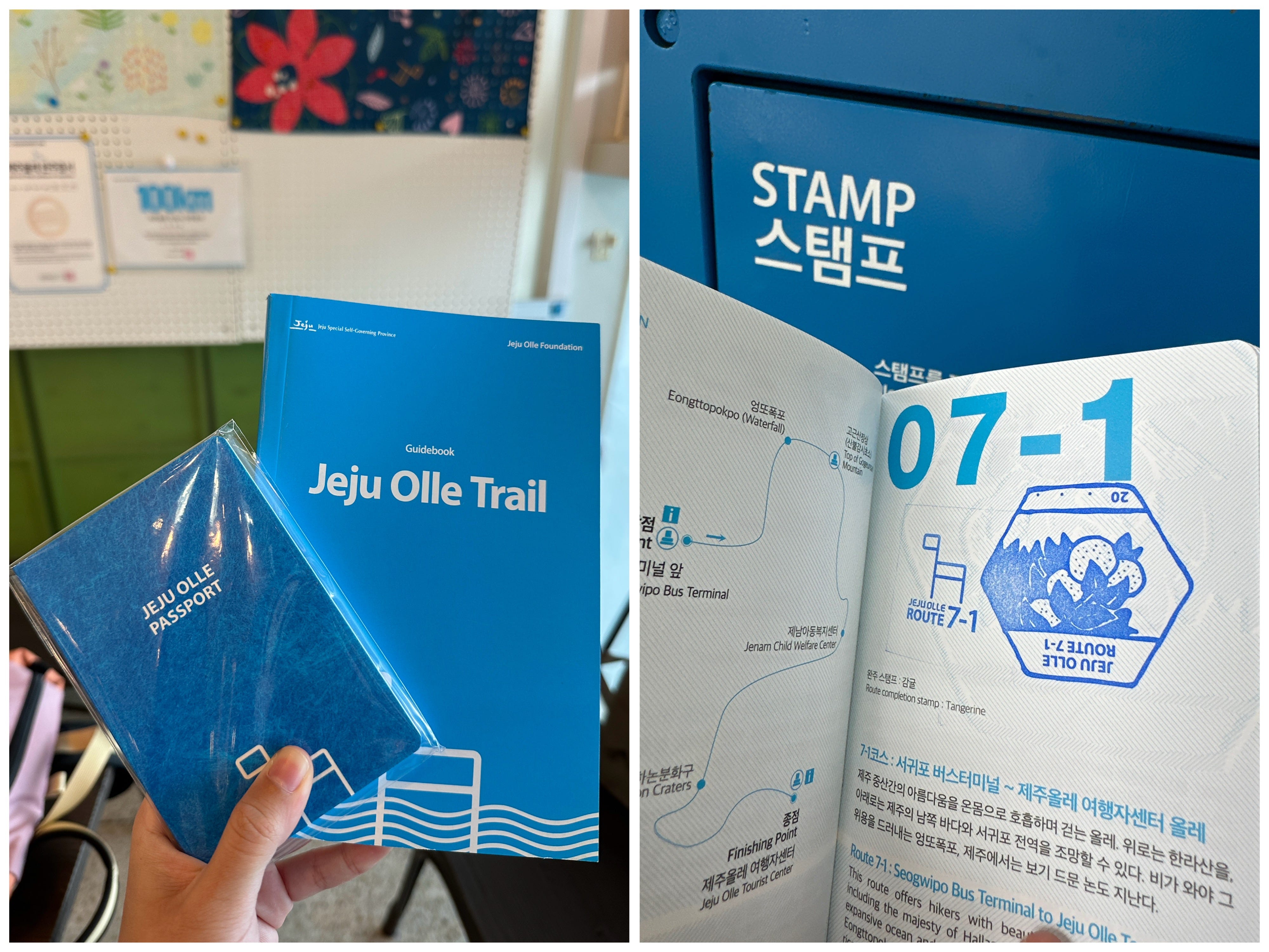 Hiking the Jeju Olle Trail 7-1 - Shai-Ann's Substack