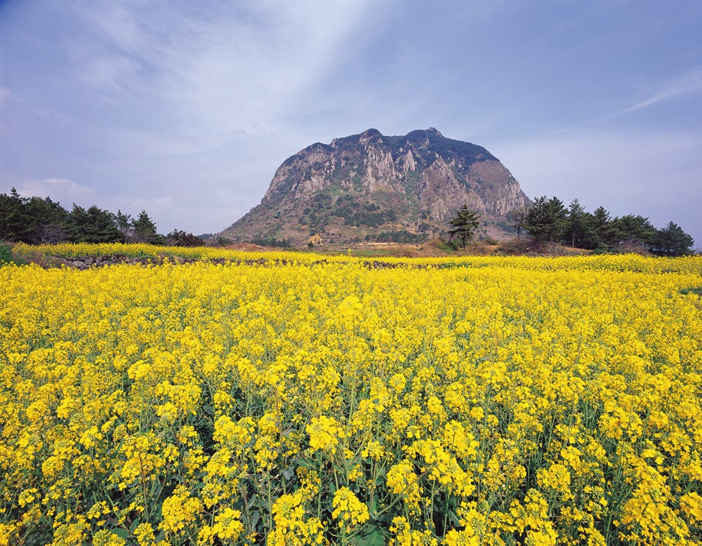 산방산