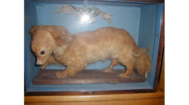 BBC - A History of the World - Object : Wooden case containing Whiskey