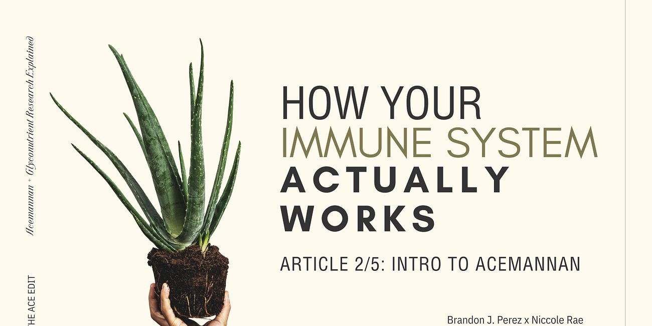 Your Immune System Is Not Where You Think It Is