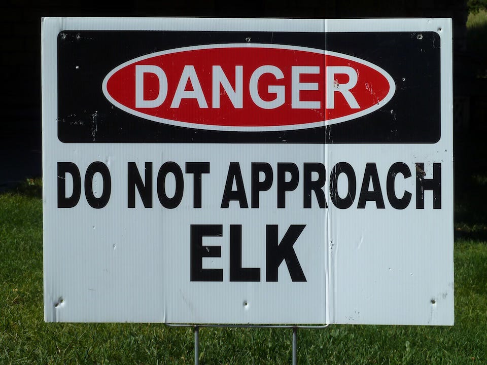 A white warning sign with a black border and red oval label at the top that reads “DANGER” in bold white letters. Below it, in large black capital letters, the sign says “DO NOT APPROACH ELK.” The sign is placed outdoors on a grassy area.