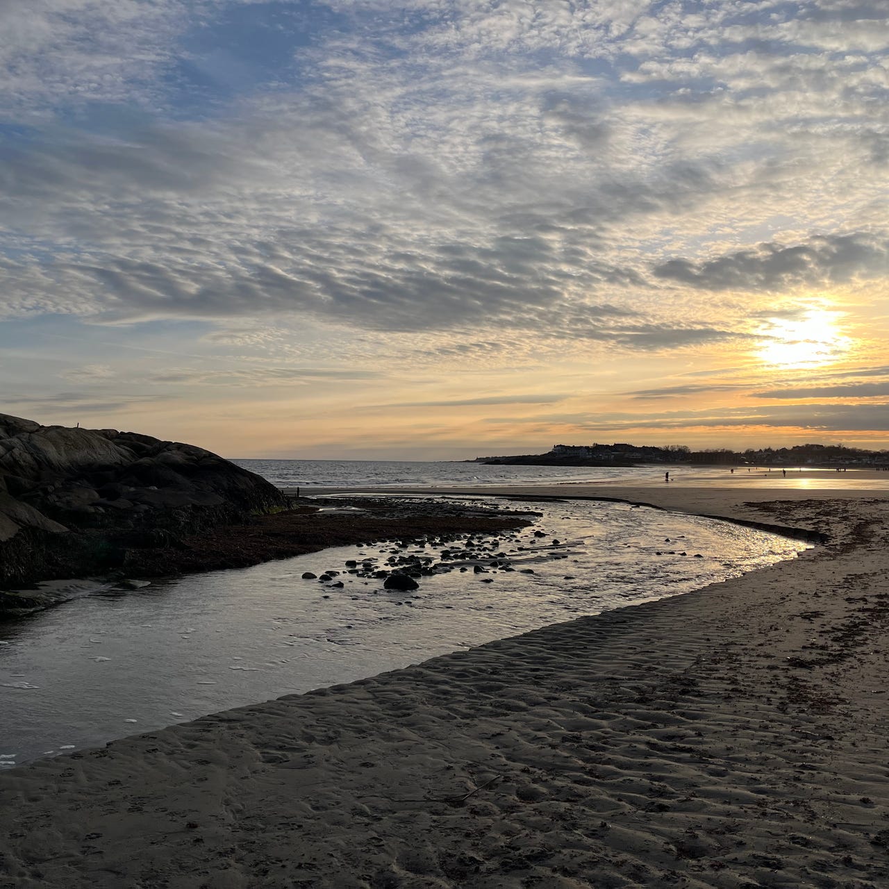 New Harmony Homeopath with Cynthia Chrisman