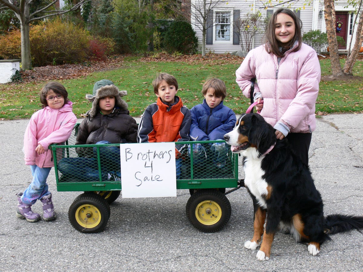 kids with a dog and a wagon, and a sign saying "Brothers 4 Sale"