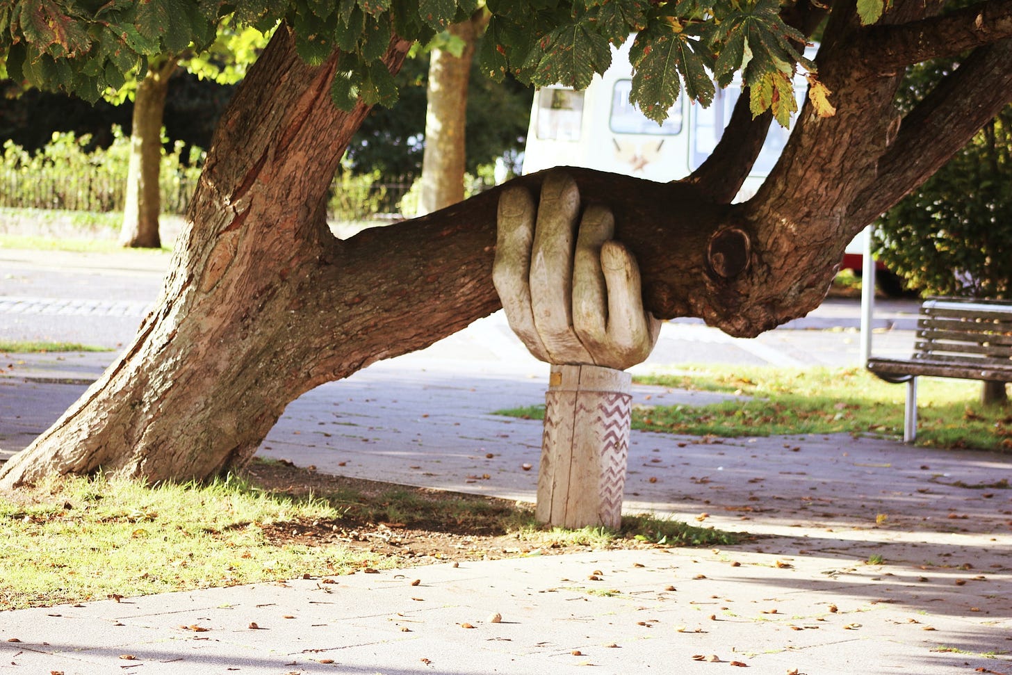 Scorcio di un parco urbano con un albero il cui tronco è inclinato pesantemente verso destra ed è sostenuto da un'opera artistica a forma di mano umana. Scorcio di un parco urbano con un albero il cui tronco è inclinato pesantemente verso destra ed è sostenuto da un'opera artistica a forma di mano umana.