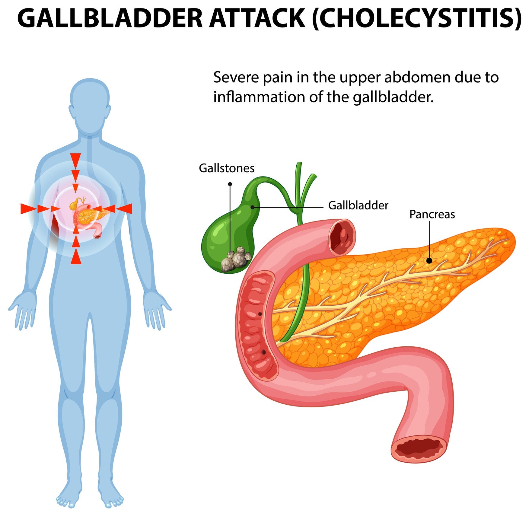 best foods to eat on semaglutide Best Foods for GLP-1 Weight Loss best foods to eat on semaglutide Best Foods for GLP-1 Weight Loss