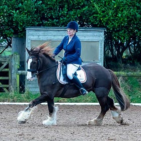 Nice moves at Laurel View’s November dressage