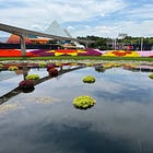 Your Guide to EPCOT International Flower & Garden Festival 2026