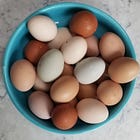 Porch #173 🐣 Emotional healing, spiritual growth, & peaceful living