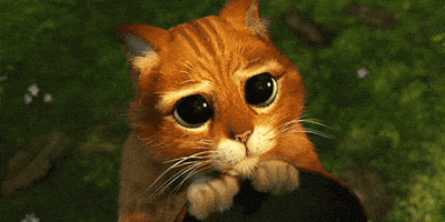 Movie gif. Puss in Boots from Shrek looks up with big, puppy eyes. Movie gif. Puss in Boots from Shrek looks up with big, puppy eyes.