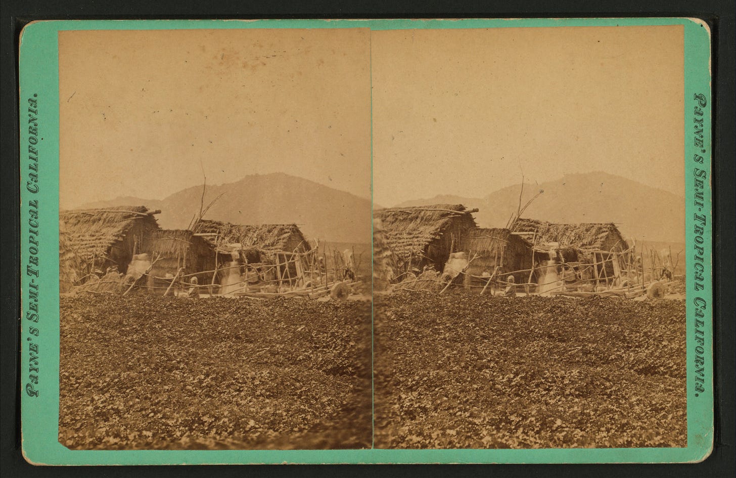 Sepia stereograph showing traditional Luiseño structures made of reed and thatch in the Temecula Valley, late 19th century. Sepia stereograph showing traditional Luiseño structures made of reed and thatch in the Temecula Valley, late 19th century.