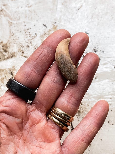 Treasures Found