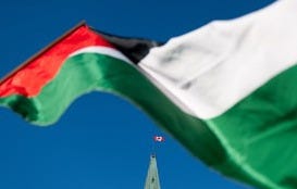 palestine palestine