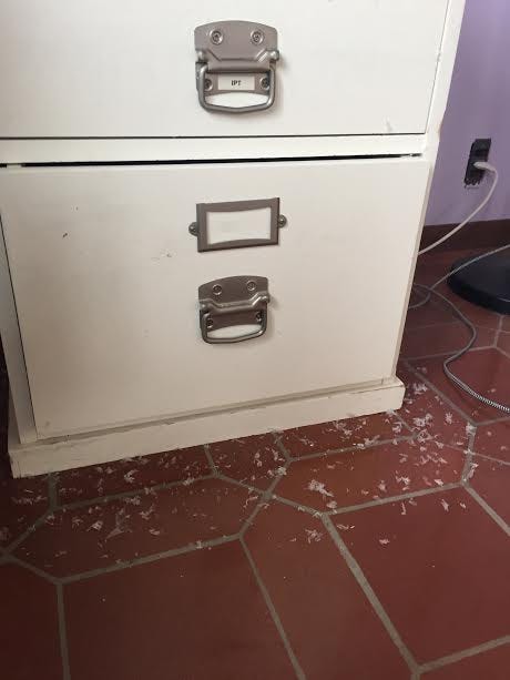glue on floor from desk glue on floor from desk