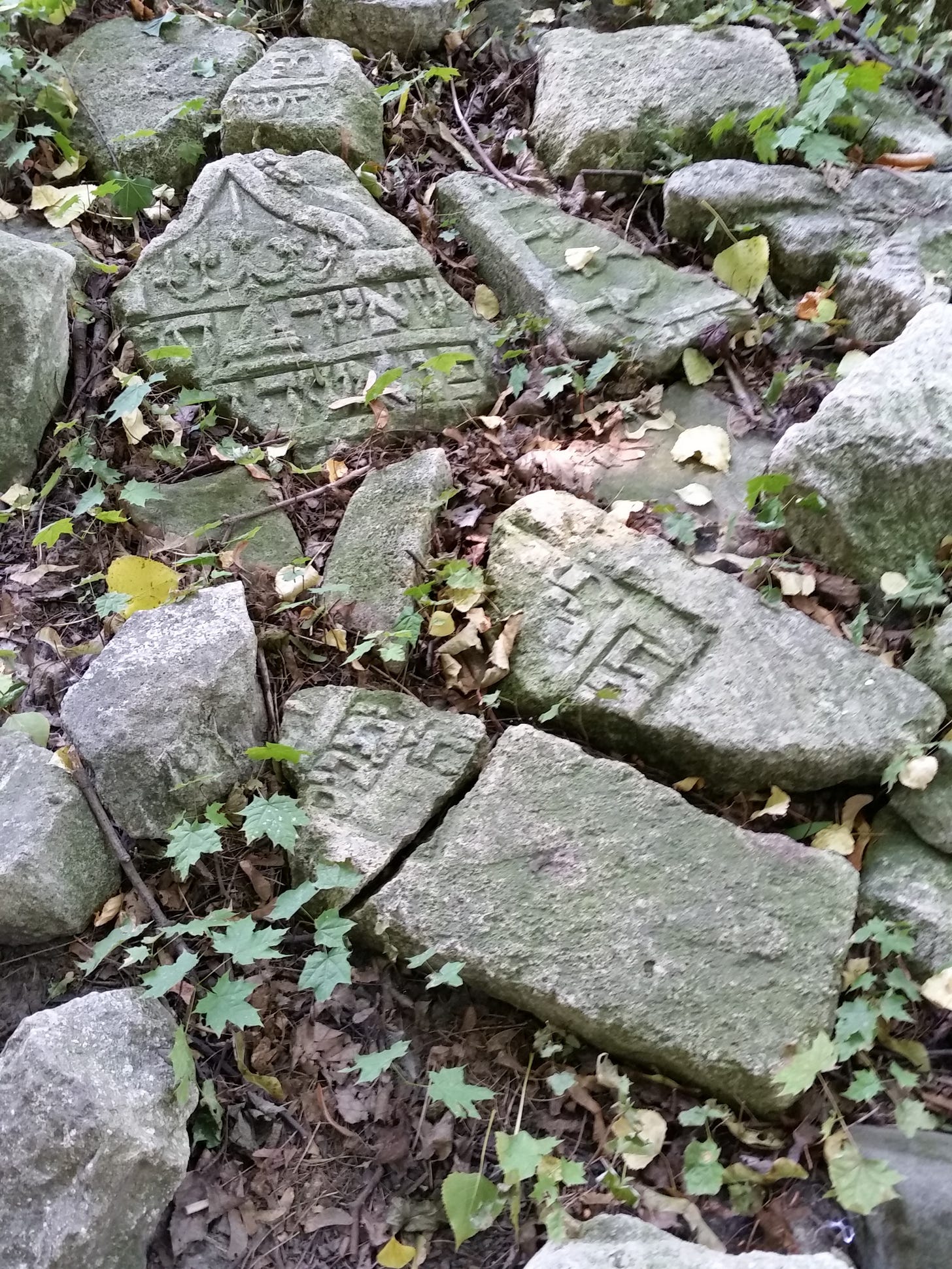 Gravestone fragments collected by Maxim, Lviv Gravestone fragments collected by Maxim, Lviv